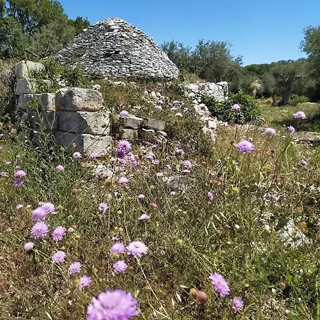 Casa Vacanza Da Angelica Villa